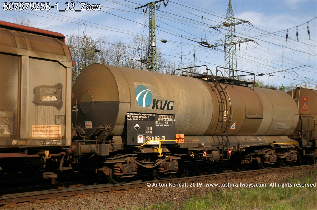 807879258-1_33_Zaes.jpg